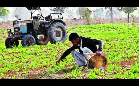 Government identifies 31 lakh violating PM-Kisan norms