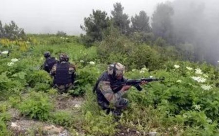 J&K: Security forces kill two terrorists in Kupwara; foil infiltration bid