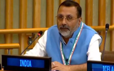 'Worst violator': India slams 'highly hypocritical' Pakistan at UN; calls out killings in Afghanistan