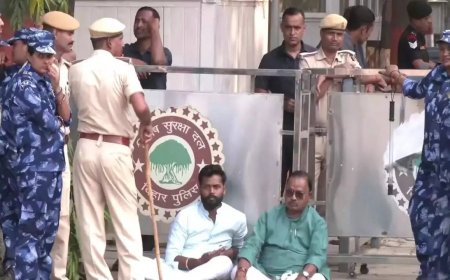 Bihar elections: Cops remove JD(U) MLA Gopal Mandal from outside Nitish Kumar's house - watch