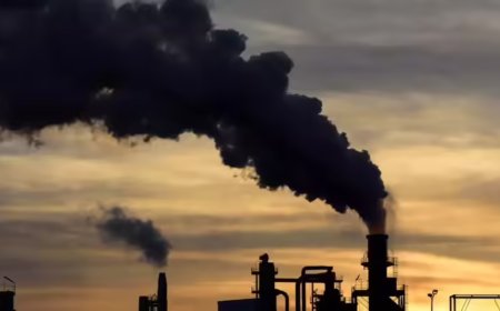 Carbon dioxide levels increase by record amount to new highs in 2024