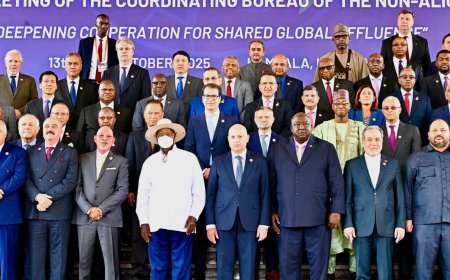 Gaza peace: India urges all to honour commitments