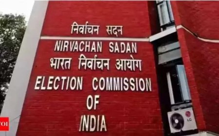 EC accuses ADR of mala fide motive to disrupt SIR
