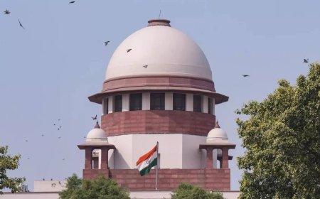 ‘Forging court orders, judges’ signatures’: Supreme Court flags rise in digital arrest scams; seeks Centre’s reply