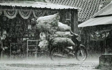 India records extreme rainfall during southwest monsoon 2025