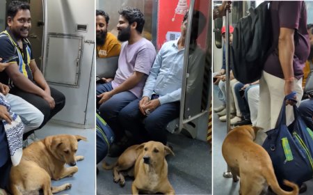 Watch: Disturbed by firecrackers, stray dog boards metro in Kolkata; netizens react