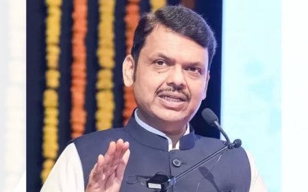 'Delhi far away': Fadnavis on national politics shift; will continue as Maharashtra CM till 2029