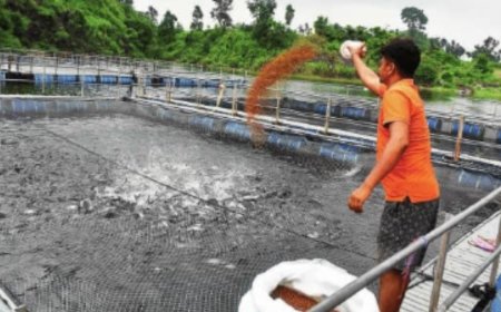 Water ATMs and fishing for profit