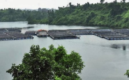 Water to earnings: How coal is turning on taps across India