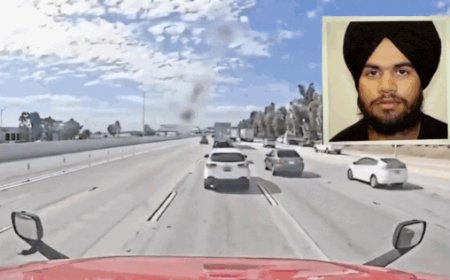 ‘Criminal illegal aliens’: White House flags 'disturbing pattern' after Indian trucker crash in California; calls out 'serious gaps'