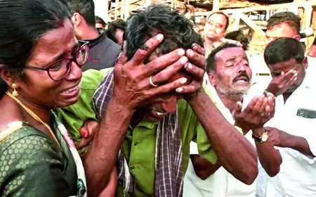 Andhra bus fire: Phones, elbows, laptops were tools of survival