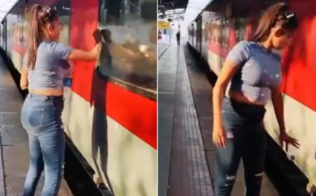 'Basic civic sense missing': Woman cleans train window but litters on tracks; video goes viral