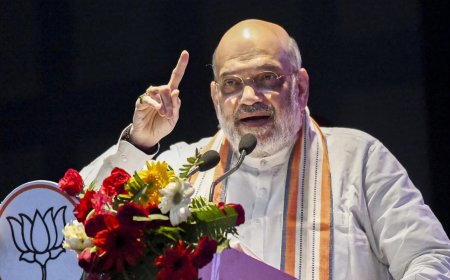 'Sau chuhe kha kar, billi haj ko chali': Amit Shah mocks Tejashwi over crime remarks; hits out at Rahul Gandhi's 'Ghuspetiya Bachao Yatra'