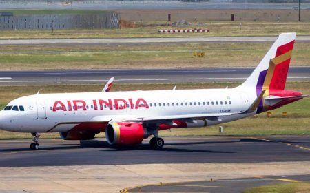 ‘Bird-hit after take-off’: Air India flight returns to Nagpur; aircraft under inspection