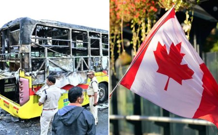 Evening news wrap: 400 smartphones intensified Kurnool bus blaze, Canada sees surge in visa refusals & more