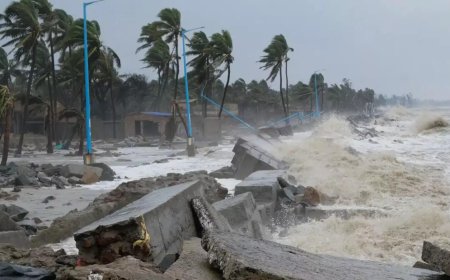 Cyclone Montha: Crisis management group reviews preparedness