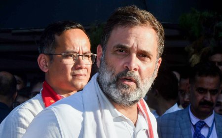 'Institutional murder': Rahul Gandhi on Maharashtra doctor’s suicide case; accuses govt of ‘shielding criminals’