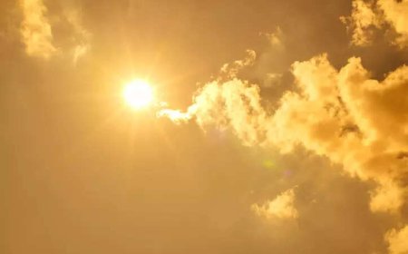 Heat-related deaths up 23% globally since 1990s: Lancet