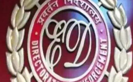 Chinese behind most crypto, loan app rip-offs: ED report