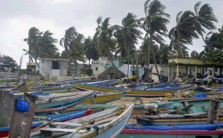 'Montha' slams Andhra, batters Odisha: 1 dead, thousands evacuated