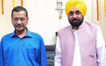 Punjab launches faceless services related to driving licences, vehicle-registration certificates
