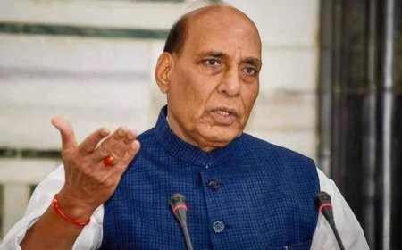 Oppn's job pledge impractical and misleading: Rajnath Singh