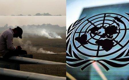 Climate financing 12-14 times less than what's needed: United Nations