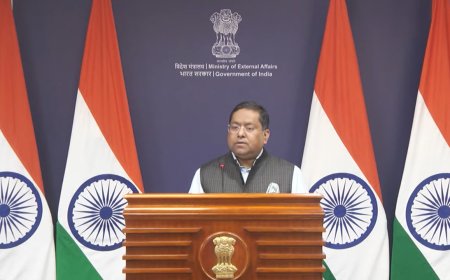 'Some Indian companies': China OKs supply of rare earth magnets to India; what MEA said