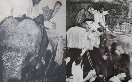 ‘It was raining ...’: Congress recalls Indira Gandhi’s 1977 Bihar visit; posts pics of her on elephant