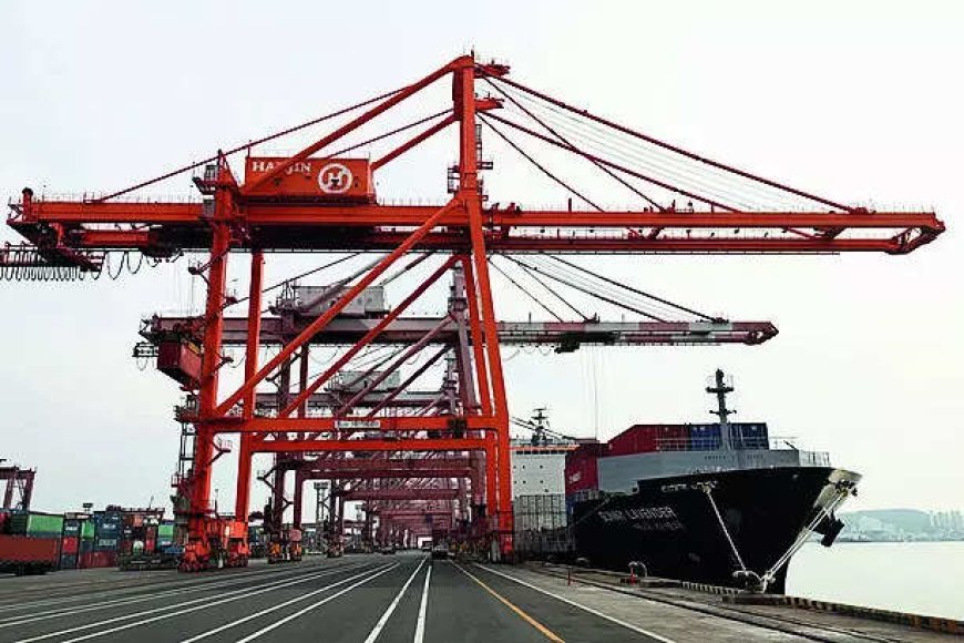 Trading firm levels graft, harassment allegations against customs staff in TN
