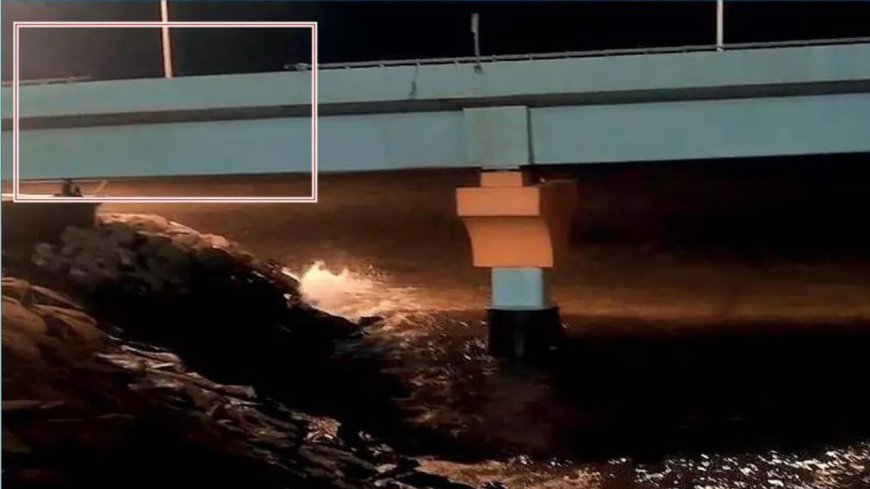 Car falls into sea, drunk driver safe