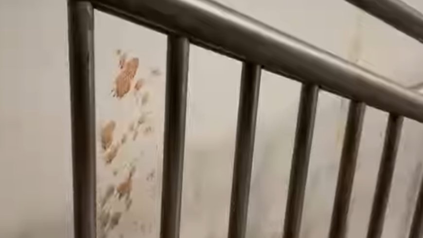 'Kuch toh sharam karlo Bihar walo': Patna metro station filled with gutka stains three days post inauguration; video viral