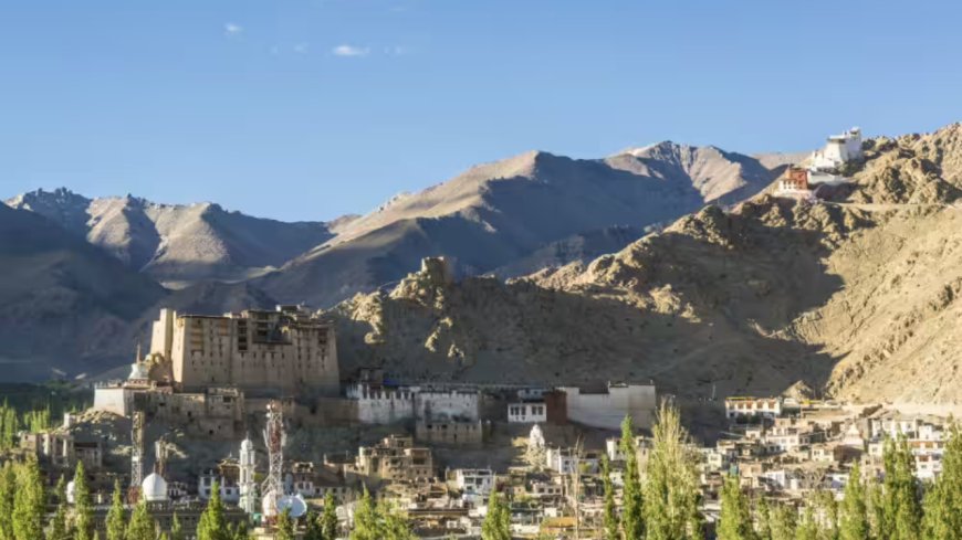 Internet services restored in Leh