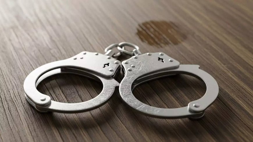 Himachal BJP chief's brother held in rape case, party calls it 'political' plot