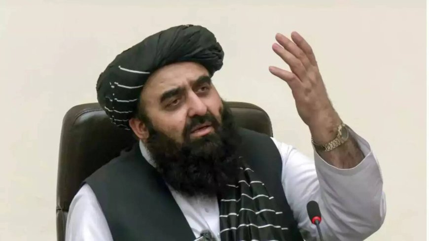 Women journalists barred: Taliban presser in New Delhi restricts entry of females; MEA reacts