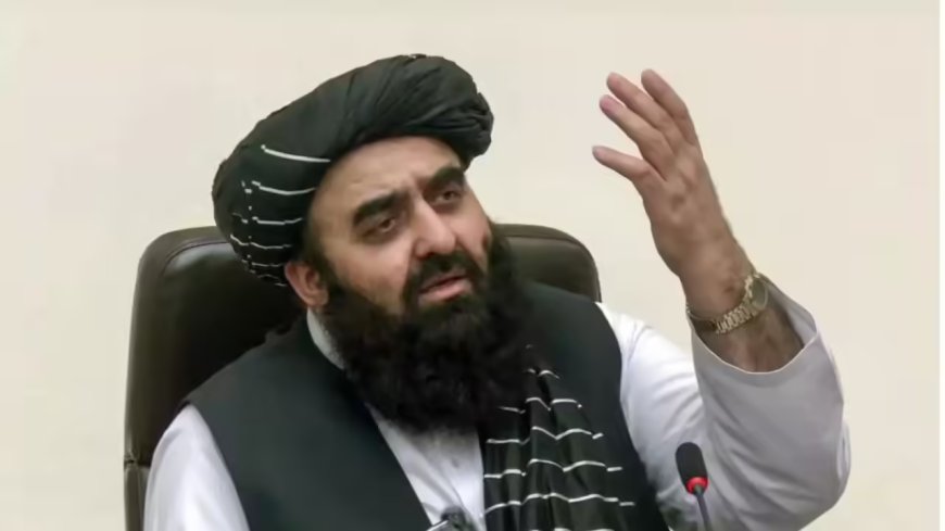 No role in Taliban presser that kept women out: MEA