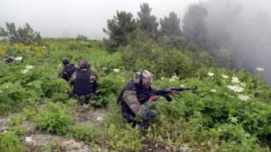 J&K: Security forces kill two terrorists in Kupwara; foil infiltration bid