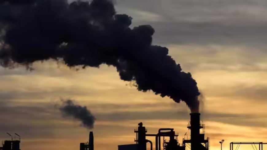 Carbon dioxide levels increase by record amount to new highs in 2024