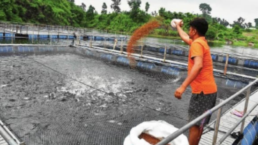 Water ATMs and fishing for profit