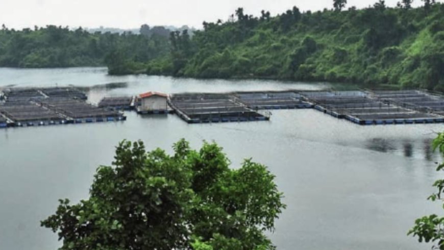 Water to earnings: How coal is turning on taps across India