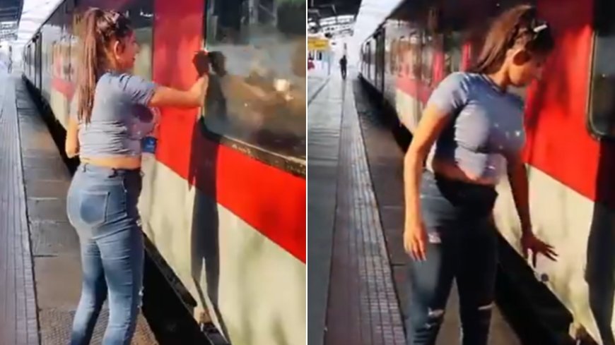 'Basic civic sense missing': Woman cleans train window but litters on tracks; video goes viral