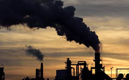 Coal 'scam' case: Court lets off two ex-officials