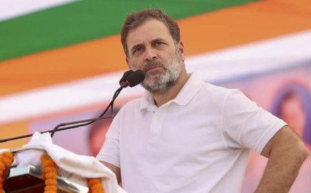 '10% control the Army': Rahul Gandhi’s caste claim at Bihar rally; BJP terms remark disgraceful