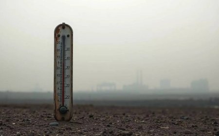 World on track to dangerous warming level as emissions reach a record high, India reports highest absolute increase