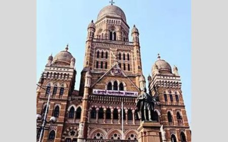 Maharashtra to hold local body polls on December 2