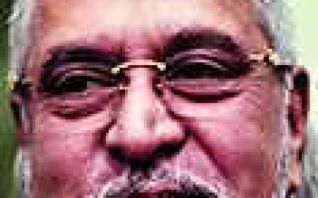 Dues recovered, banks must stop charging interest on loans: Mallya