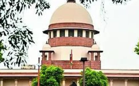 SC: Boys being jailed for romance under Pocso