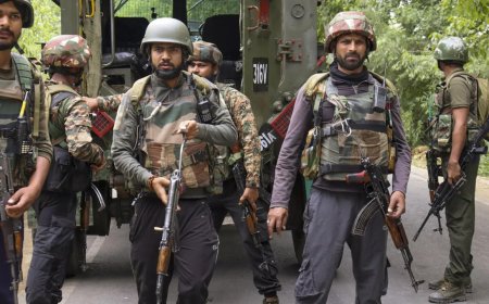 Op Chhatru: Security forces launch anti-terror operation in J&K's Kishtwar; encounter under way