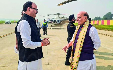 Rajnath slams Rahul, says don't drag Army into politics