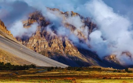 Cold wave grips Himachal; Tabo records minus 5.5 degrees, Kalpa sees snowfall